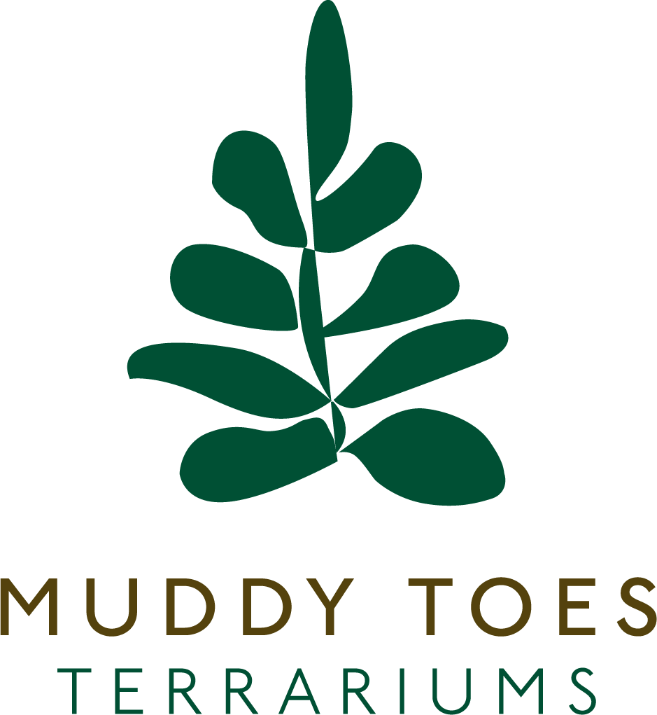 muddy toes logo