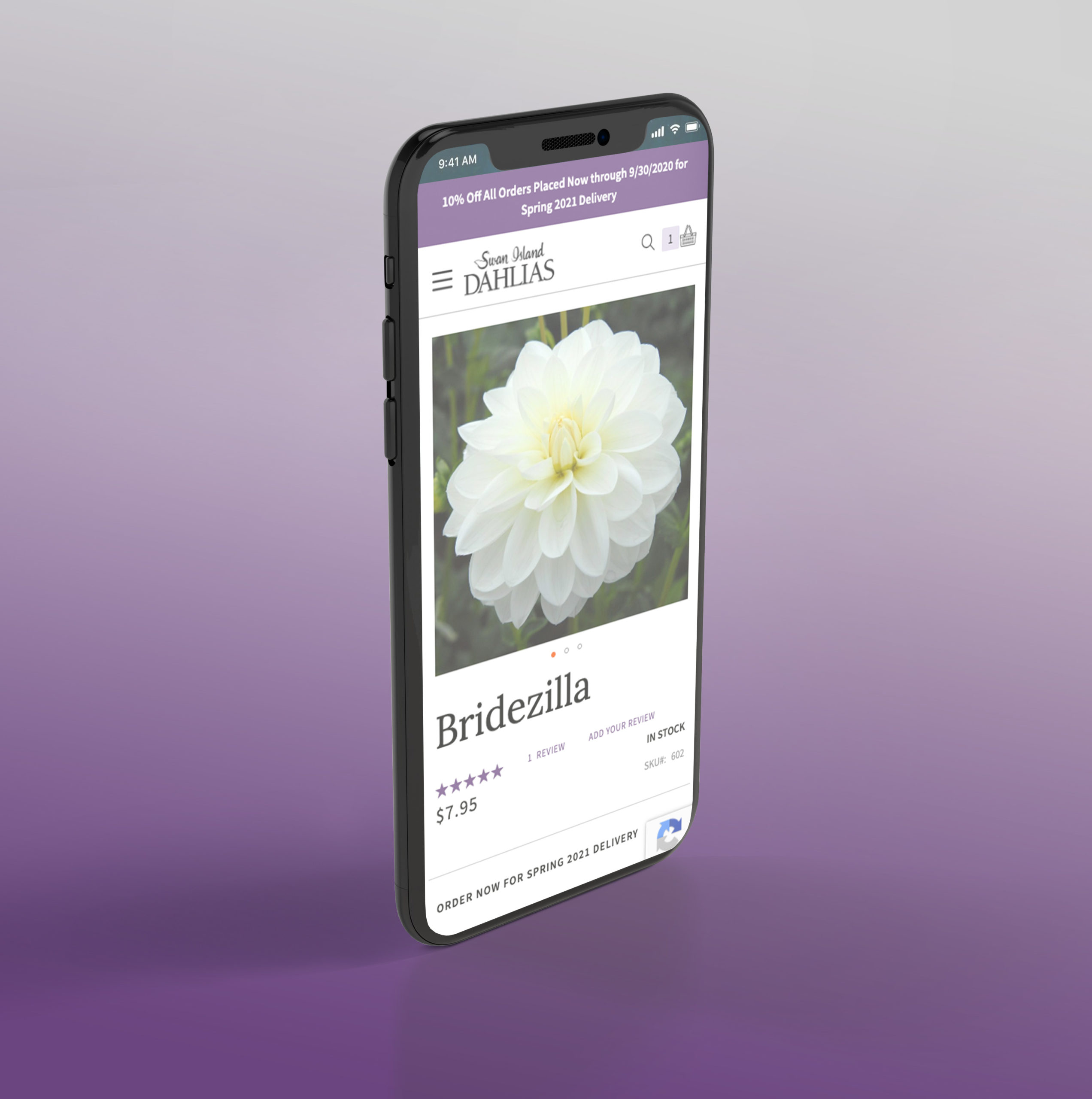 Swan Island Dahlias Bridezilla product page on an iphone
