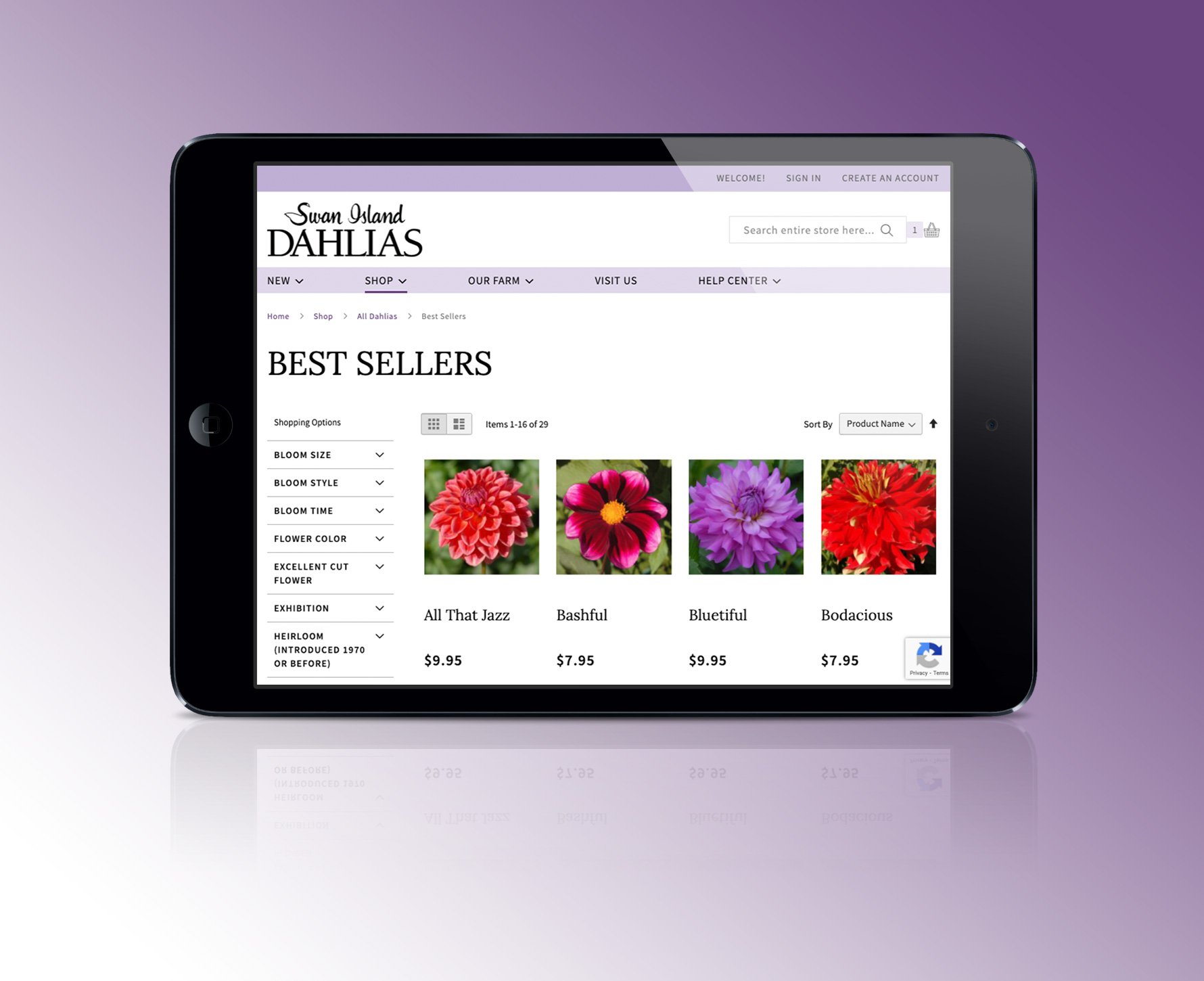 Swan Island Dahlias Best Sellers page on a tablet