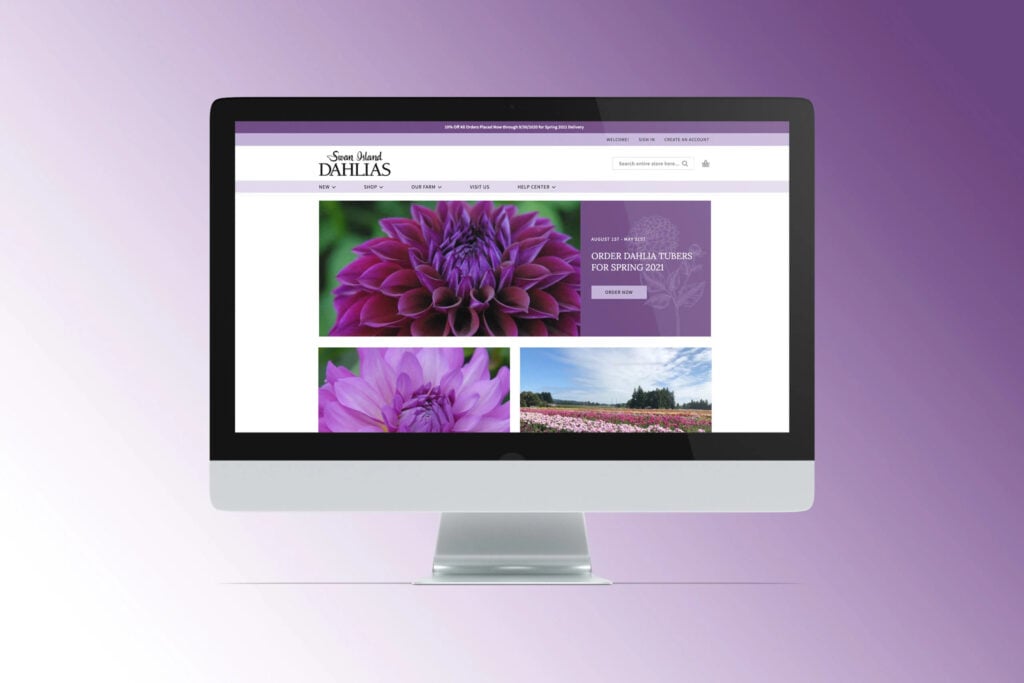 Swan Island Dahlias website on computer
