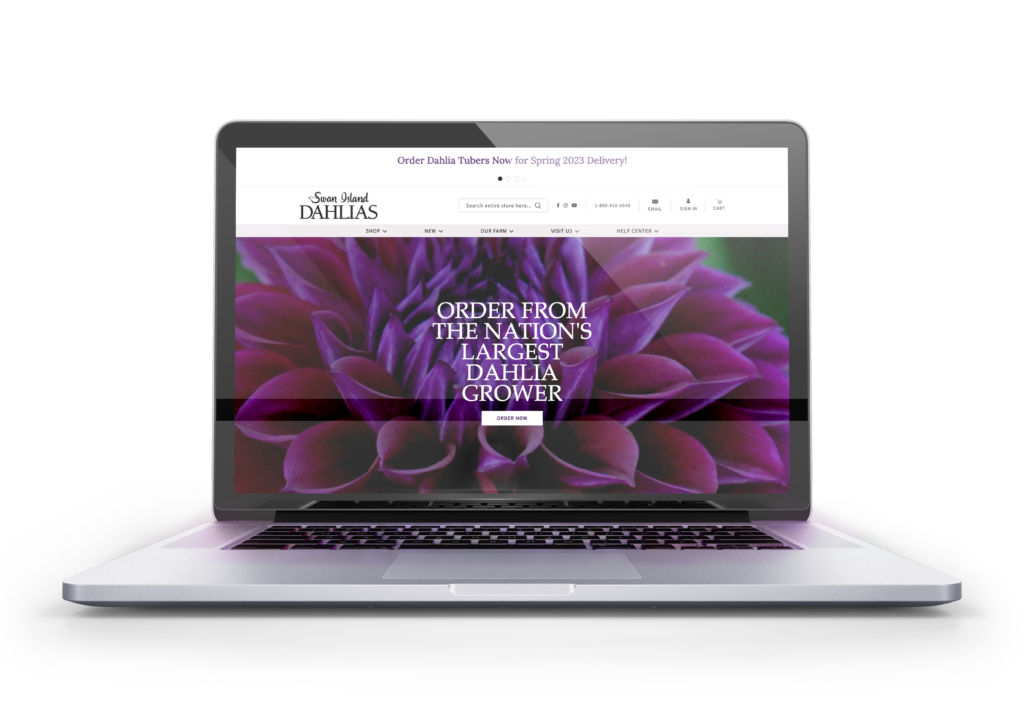 Swan Island Dahlias homepage on laptop
