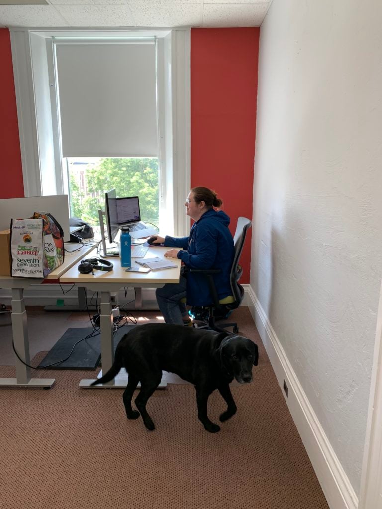 Hannah Hook hard at work at her desk with Disco, Jason's dog