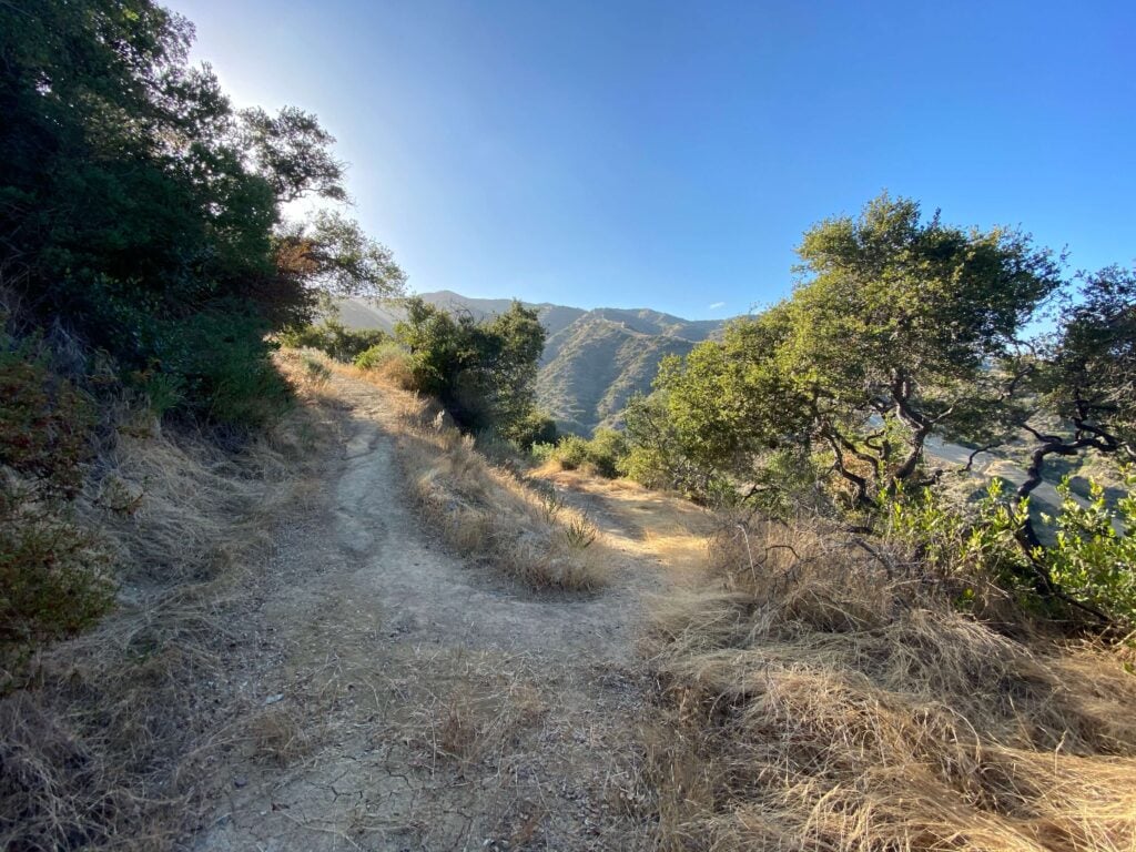 Photo of a hiking trail on Catalina Island