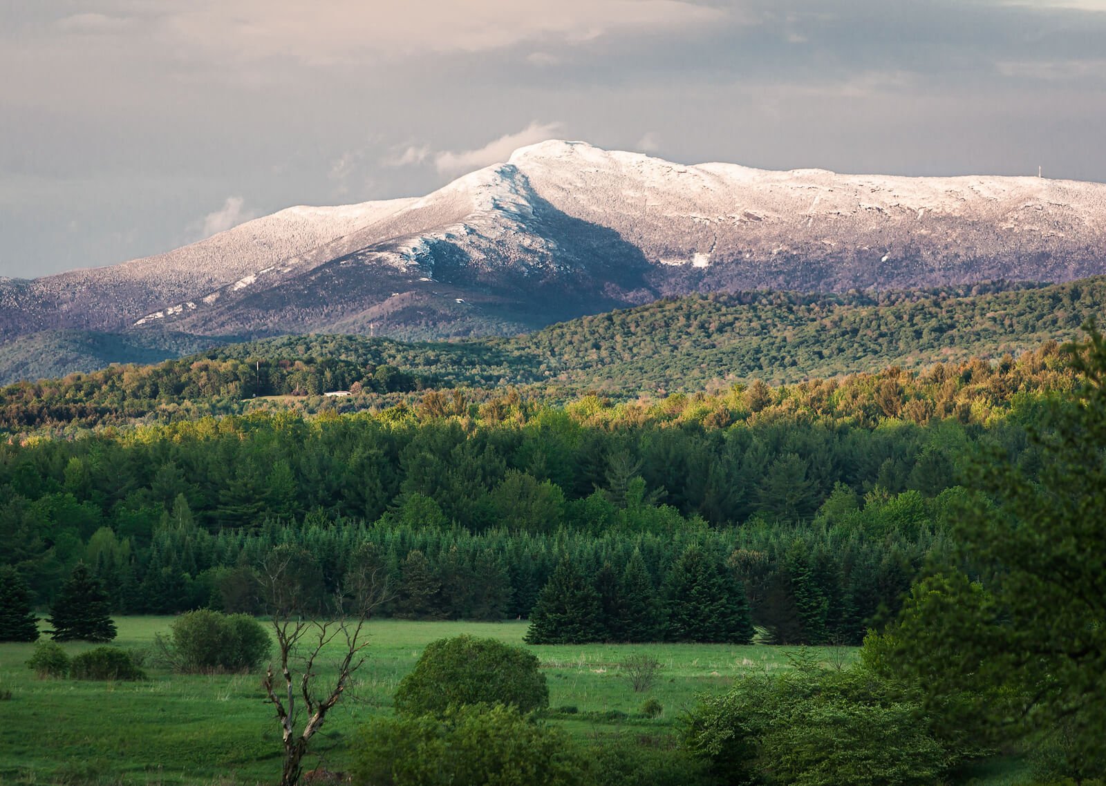 Photo of Mountain from the FreshTracks Capital Website