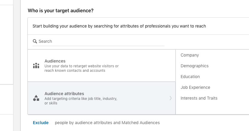 LinkedIn Ads' demographic targeting options