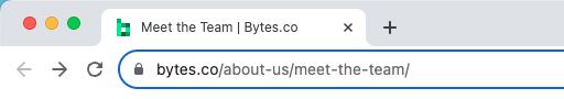 Example of a title tag for the Meet the Team page on Bytes.co's WordPress website
