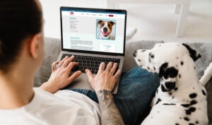 Man with tattoos on his arms sitting on the couch next to his Dalmatian dog browsing for a new dog on the Animal Welfare Society website