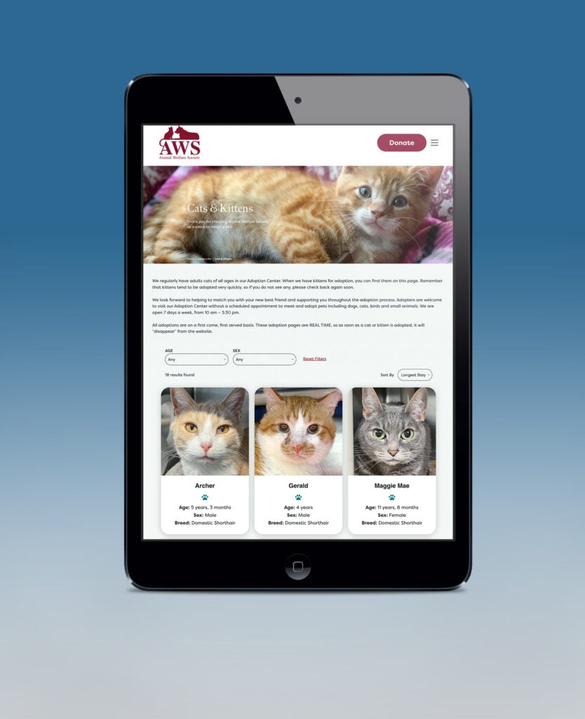 The new Animal Welfare Society's Cats & Kittens adoption page on a vertical iPad