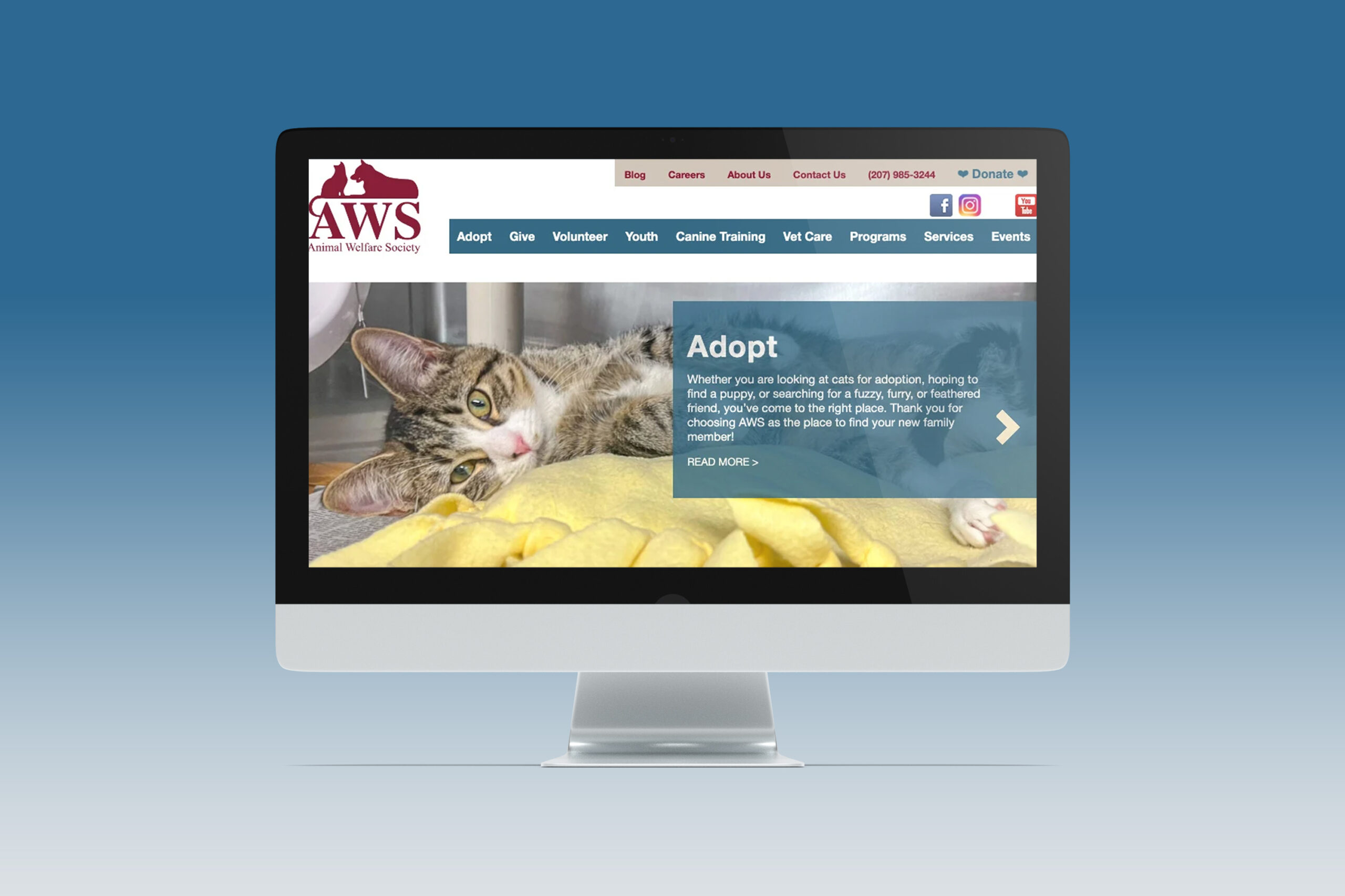 The old Animal Welfare Society homepage on a desktop computer