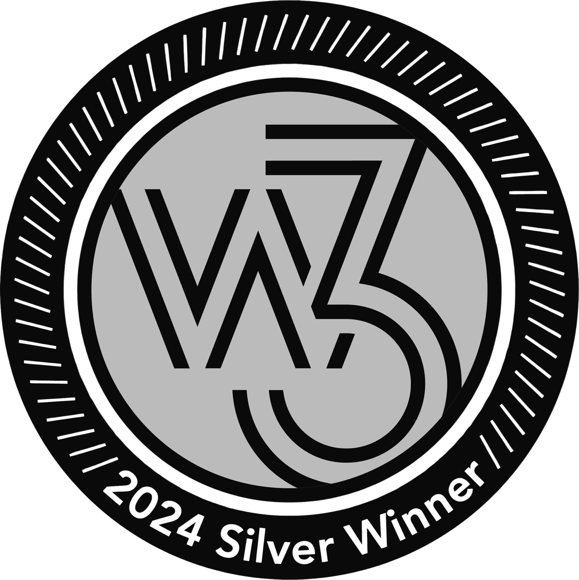 w3 Awards 2024 Silver Winner logo